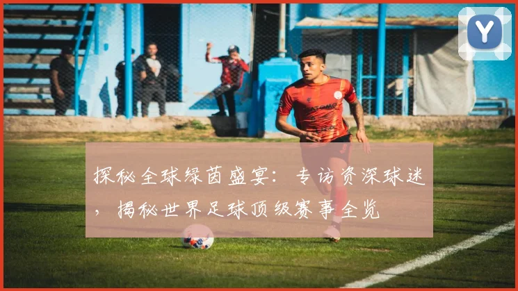 探秘全球绿茵盛宴：专访资深球迷，揭秘世界足球顶级赛事全览