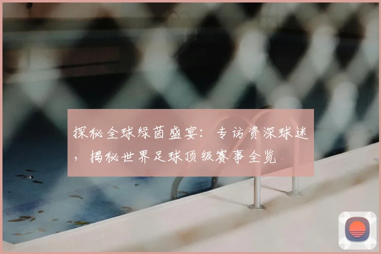 探秘全球绿茵盛宴:专访资深球迷,揭秘世界足球顶级赛事全览